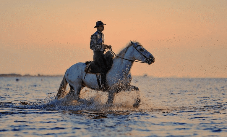 Safety Innovations for Riders and Horses