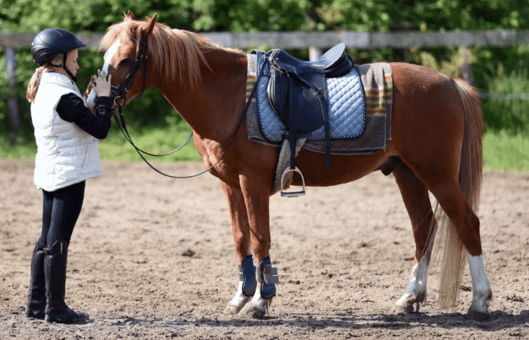 Tack and Gear Every Racing Stable Needs