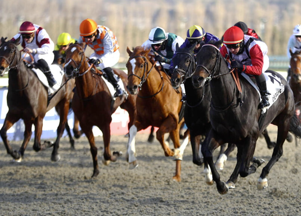 cplemaire || cplemaire couplé du jour || cplemaire la voyeuse || cplemaire 18 || cplemaire pmu || cplemaire turf